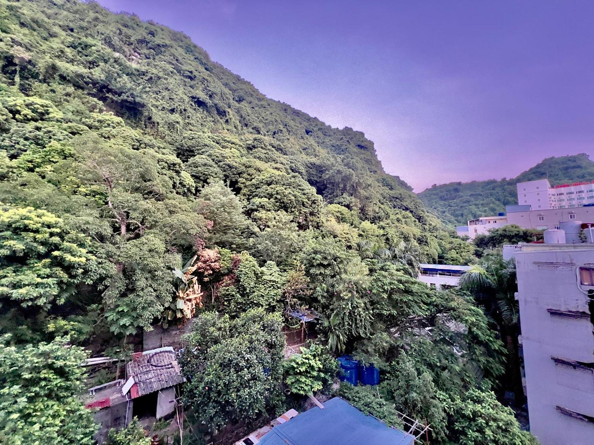 Manh Vuong Hotel Catba Dong Khe Sau Exteriér fotografie