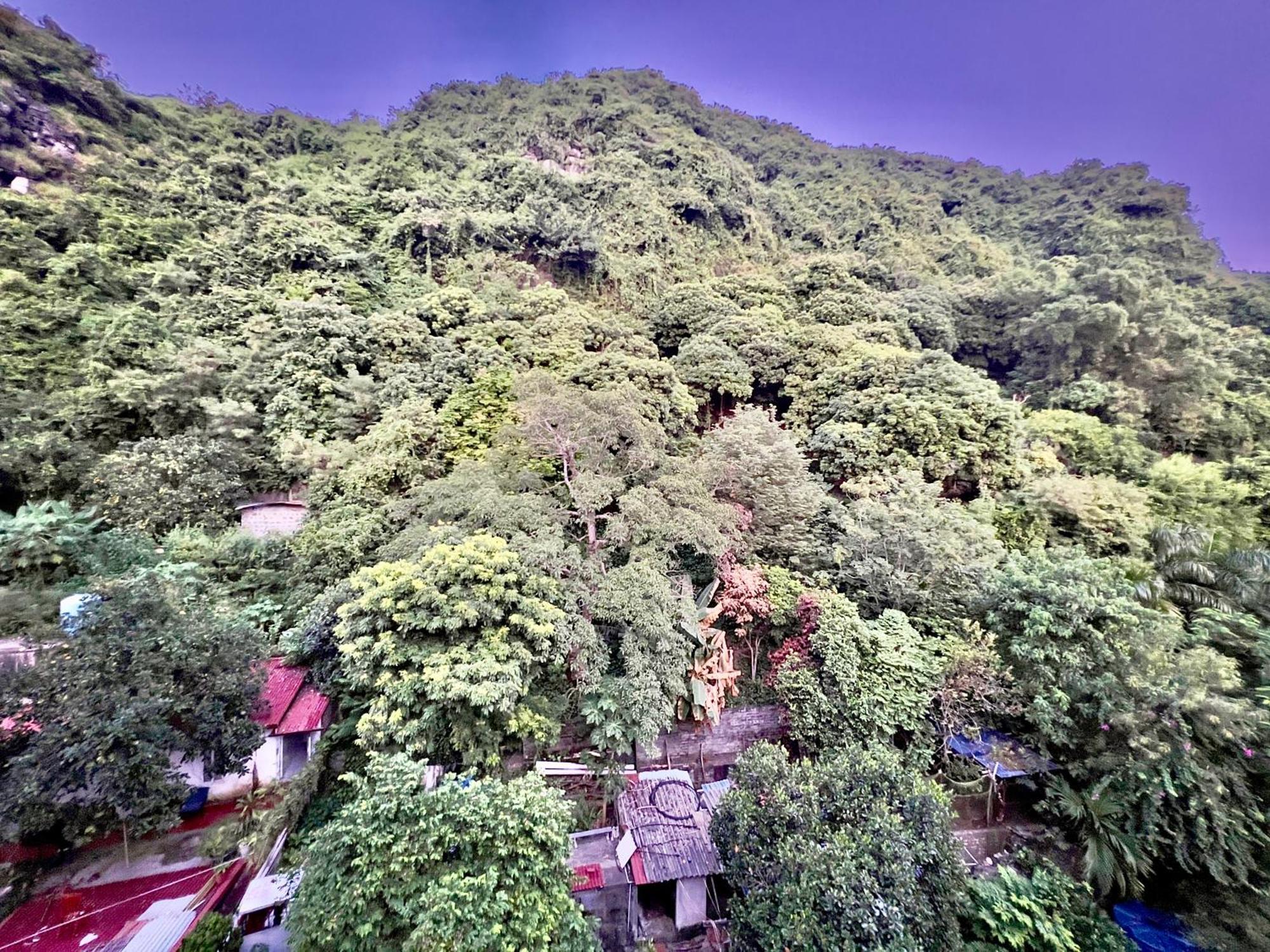 Manh Vuong Hotel Catba Dong Khe Sau Exteriér fotografie